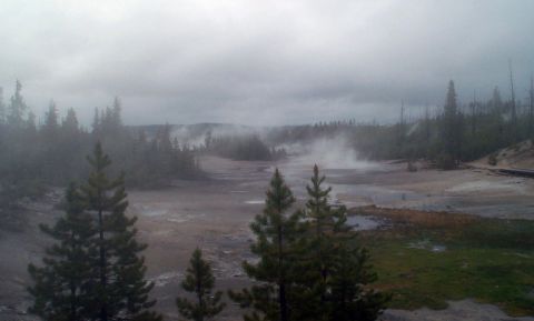 1996 Ford Bronco - A misty, geothermal landscape with steam rising from the ground, surrounded by pine trees and a cloudy sky.