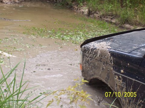 1987 Ford Bronco - 1987 Ford Bronco stuck in muddy water with vegetation around.