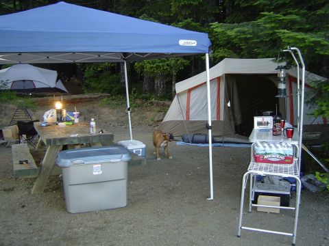 1989 Ford Bronco - Camp...Cassius Irritated for some reason...I had to take him home saturday night