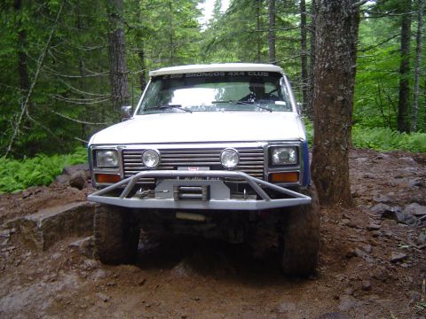 1989 Ford Bronco - Todd by "the tree"