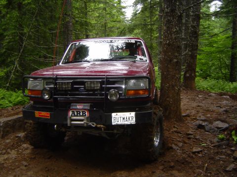 1989 Ford Bronco - Kerry...same tree