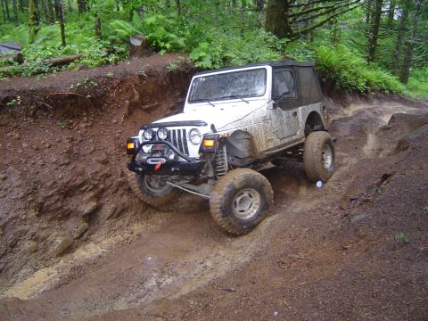 1989 Ford Bronco - Jeff too