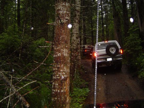 1989 Ford Bronco - New trail called "Cedar Tree"