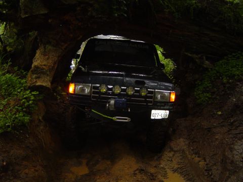 1989 Ford Bronco - There was a spot where the trail went under a tree...(Broncos are still 2 Big)
