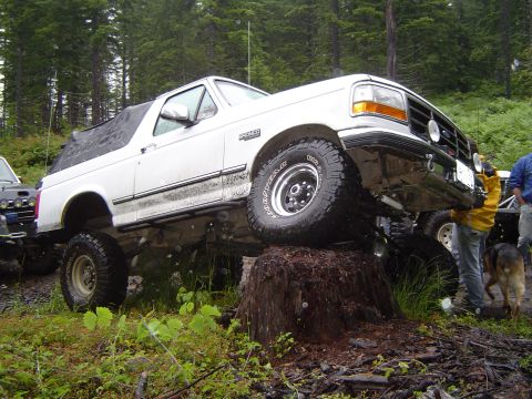 1989 Ford Bronco - A white Ford Bronco is positioned on a large tree stump with its front wheels elevated.