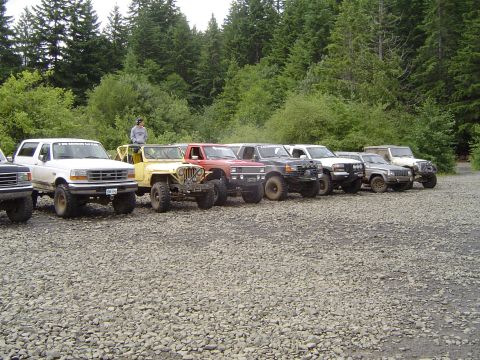 1989 Ford Bronco - A white 1989 Ford Bronco is parked in a line with several other off-road vehicles, with a forest in the background.