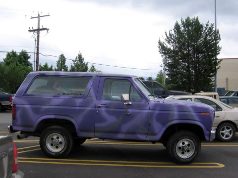 1976 Ford F-150 - Side view of a custom painted Ford Bronco, parked next to other vehicles.