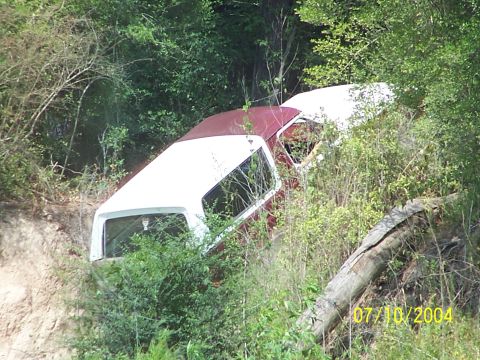 1987 Ford Bronco - Vehicle appears to be stuck off-road, surrounded by dense vegetation and a fallen tree.