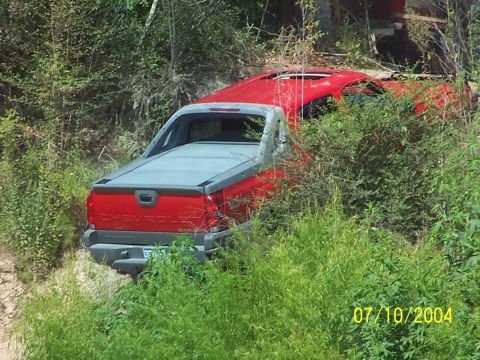 1987 Ford Bronco - A red Chevrolet Avalanche is seen off-road, surrounded by dense green vegetation.
