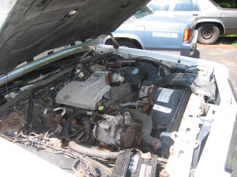 1991 Ford LTD Crown Victoria - The engine bay of a white vehicle is shown, with another car parked behind it.