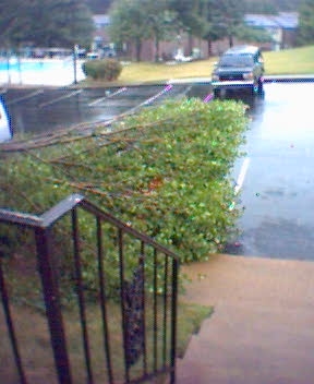 1987 Ford Bronco - This is what I saw when I left the apartment the morning Hurricane Dennis came through Nashville. You can see the bronco, but you CAN'T see…