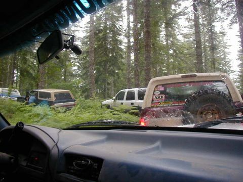 1994 Ford Explorer - Several off-road vehicles navigate a dense forest with lush green foliage.