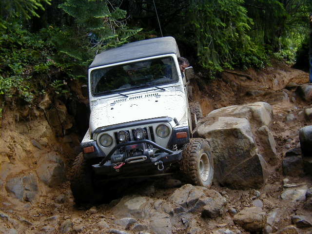 White Jeep Wrangler navigating a rocky, muddy trail with trees on the side