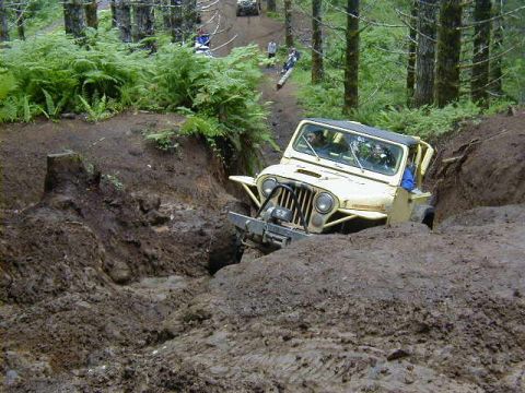 1994 Ford Explorer - A yellow Jeep Wrangler is driving through a deep mud trench on an off-road trail surrounded by trees and ferns.
