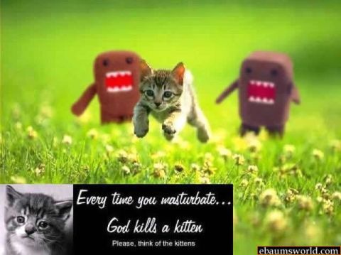 1988 Ford Bronco - A kitten leaps through a field of grass, accompanied by two Domo-kun characters, with a stark message about kittens.