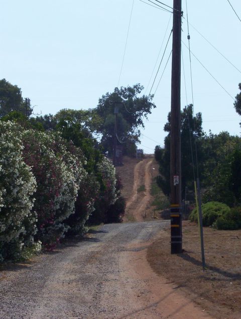 1995 Ford Bronco - A rural dirt road ascends a hill, bordered by lush vegetation and a prominent utility pole.