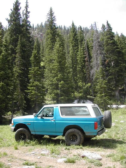 1994 Ford Bronco - 1994 Ford Bronco parked in a grassy, wooded area with tall pine trees.