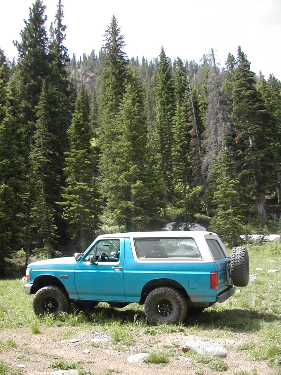 1994 Ford Bronco parked in a grassy, wooded area with tall pine trees