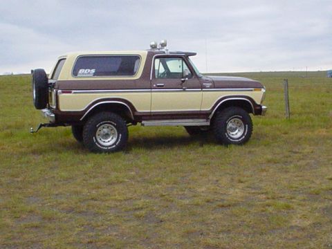1979 Ford Bronco photo