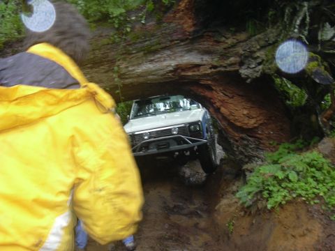 1991 Ford Bronco - A person in a yellow jacket watches as an off-road vehicle maneuvers through a tight passage under a fallen tree.