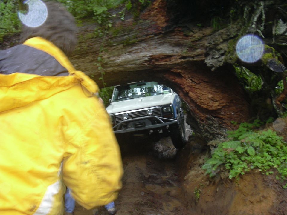 off-road vehicle driving under a large fallen tree trunk