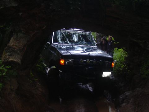 1991 Ford Bronco - 1991 Ford Bronco navigates a challenging off-road path with trees overhead.