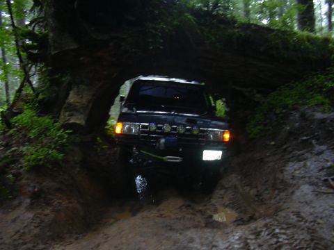 1991 Ford Bronco - An off-road vehicle navigates a challenging, muddy path beneath a large fallen tree in a forest.
