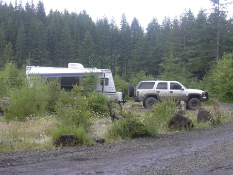 1991 Ford Bronco - A white SUV and travel trailer are parked in a clearing surrounded by dense pine trees.