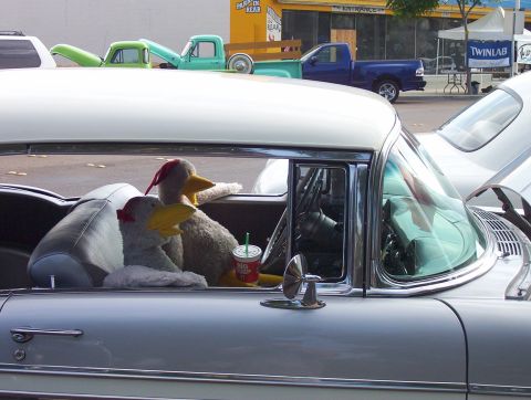 1995 Ford Bronco - Plush fowl take a ride in a vintage automobile, accompanied by a beverage.