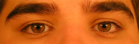 1990 Ford Probe - A close-up view of a person's eyes and eyebrows.