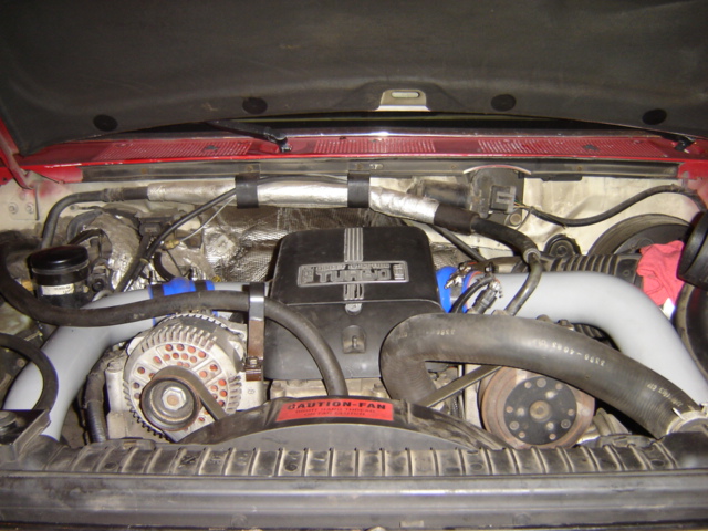 Engine bay with turbocharger and alternator