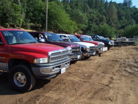 1994 Ford F-150 - Several pickup trucks are parked in a dirt lot under a tree line.