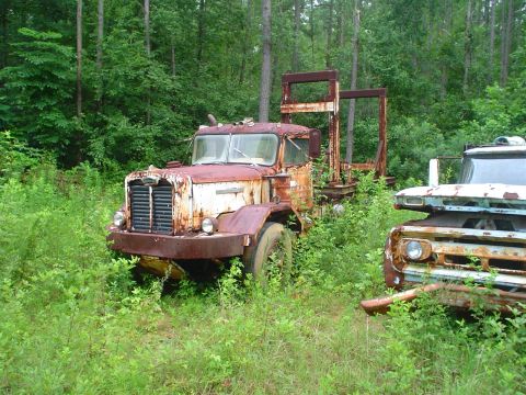 1981 Ford Bronco - Two old, rusty trucks sit abandoned in a wooded area, overtaken by vegetation.