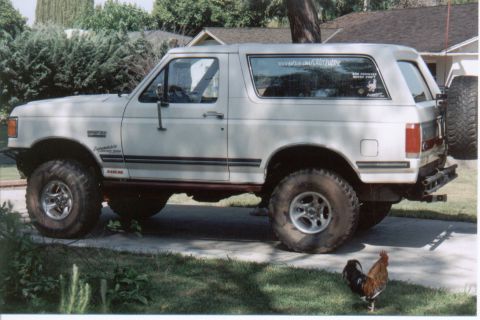1990 Ford Bronco - more a shot of the Bronco...but shows our rooster. Always wants to stay in the "whats happening" mode.