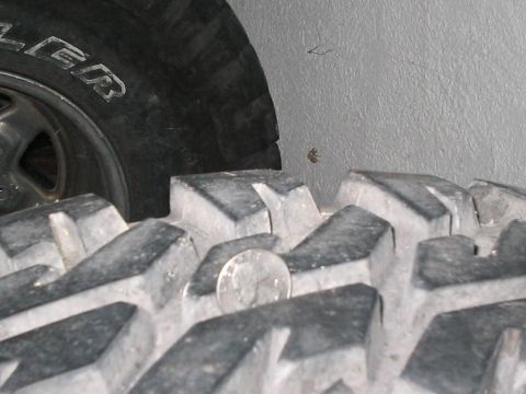 1994 Jeep Cherokee “pig dog”