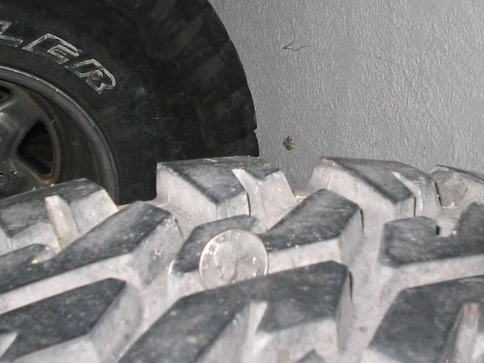 Close-up of aggressive tire tread with a quarter for scale