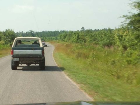 1988 Ford Bronco - A 1988 Ford Bronco is seen from behind as it travels down a paved road with trees lining the sides.