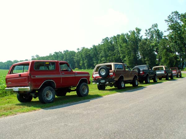 Line of Ford Broncos parked on grass next to a road