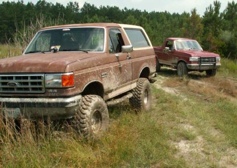 1988 Ford Bronco - Two Ford trucks, a Bronco and a pickup, are parked on a dirt path surrounded by tall grass and trees.