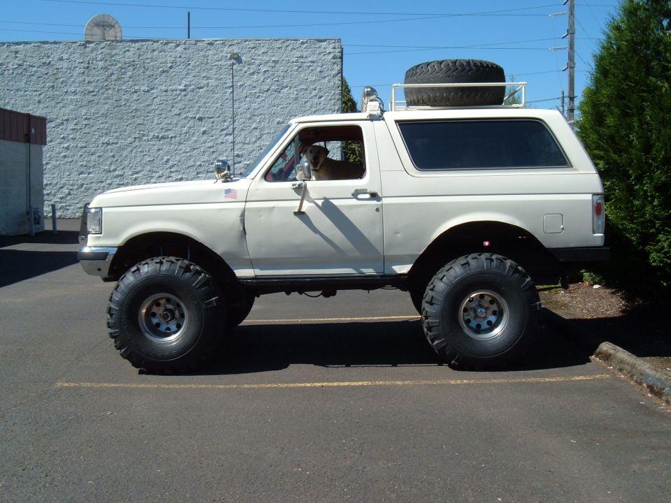 Lifted white 1989 Ford Bronco with large off-road tires and a spare tire on the roof rack. Dog visible in driver's seat