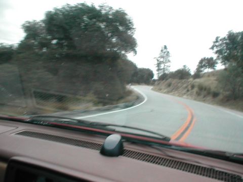 1986 Pontiac Fiero - Driving on a curved road through a wooded area under a cloudy sky.