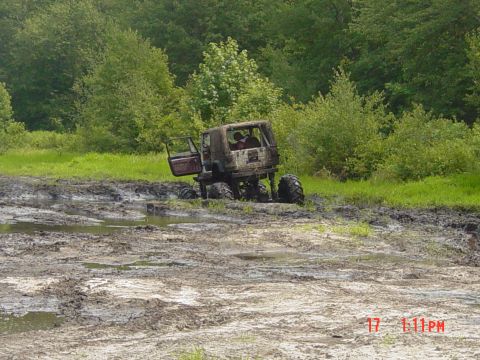 1995 Dodge 1500 - An off-road vehicle is stuck in a muddy area with its door open, surrounded by greenery.