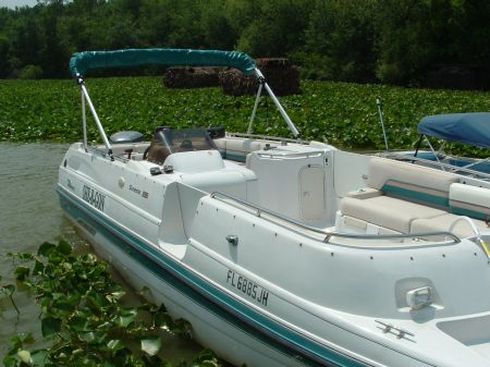 1988 Ford Bronco - A white pontoon boat with teal trim is docked near lush green water vegetation.