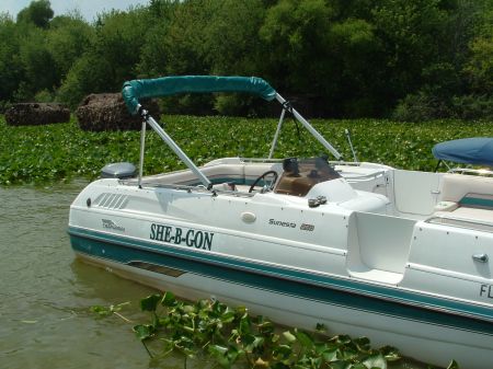 1988 Ford Bronco - A pontoon boat floats on a body of water surrounded by lily pads and trees.