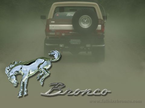 1988 Ford Bronco - Rear view of a Ford Bronco, a spare tire and chrome emblem. The script 'Bronco' is also visible.