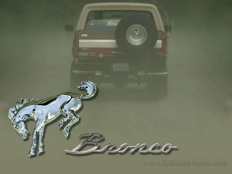 1987 Ford Bronco rear view with spare tire mounted on tailgate. Chrome Bronco emblem and script in foreground