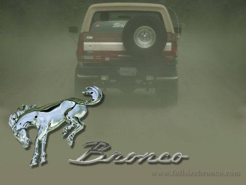 1988 Ford Bronco - A chrome Bronco emblem and script sit in front of the rear of a Ford Bronco, which has a spare tire on the tailgate.