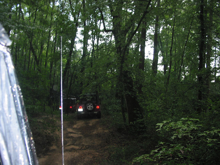 Two Jeeps driving on a dirt path through a dense forest