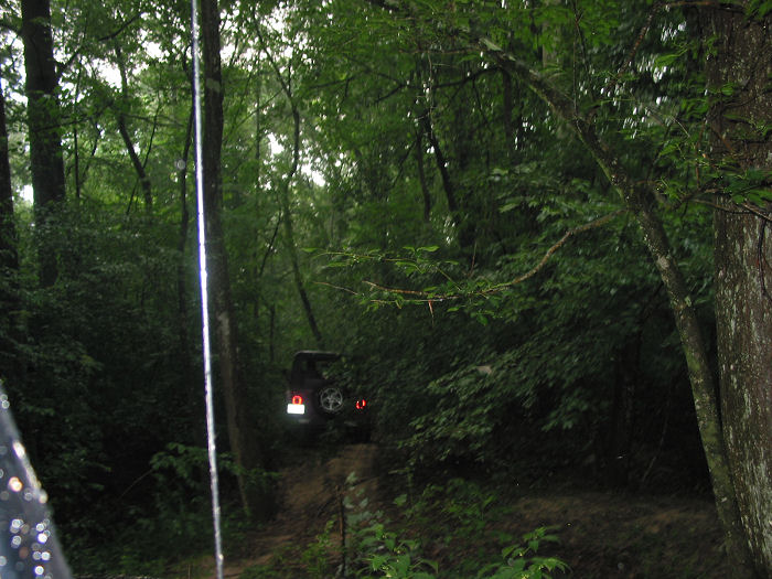 Dark SUV with illuminated taillights driving on a muddy path through a dense forest