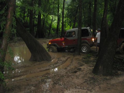 2000 Jeep Grand Cherokee - Off-roading adventure turns into a muddy predicament for a Jeep Wrangler in a dense forest.